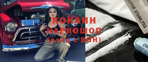 шишки Михайлов