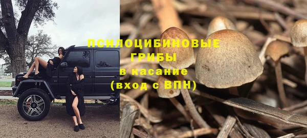 бутират Михайловка