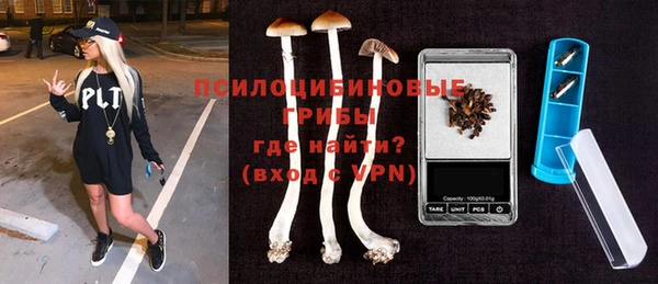 дурь Михайловск