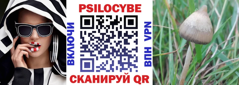 Галлюциногенные грибы прущие грибы  цены наркотик  MEGA ТОР  Ленинградская 